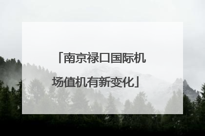 南京禄口国际机场值机有新变化