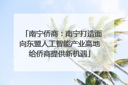 南宁侨商：南宁打造面向东盟人工智能产业高地给侨商提供新机遇