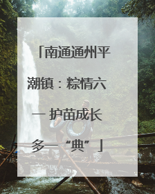 南通通州平潮镇：粽情六一 护苗成长多一“典”
