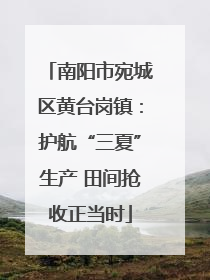 南阳市宛城区黄台岗镇：护航“三夏”生产 田间抢收正当时