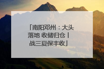南阳邓州：大头落地 收储归仓丨战三夏保丰收