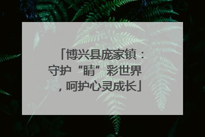 博兴县庞家镇：守护“睛”彩世界，呵护心灵成长