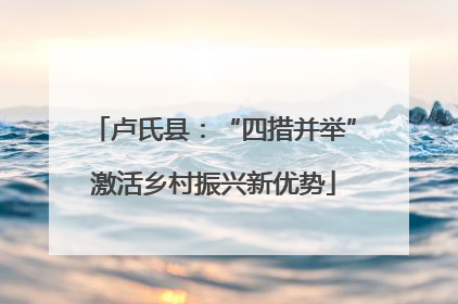 卢氏县：“四措并举”激活乡村振兴新优势