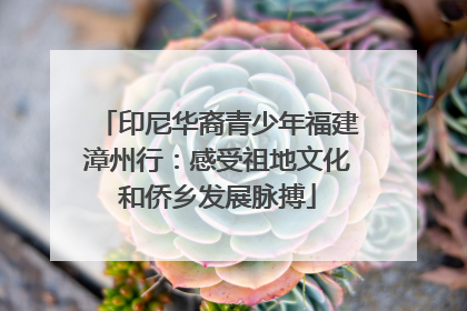 印尼华裔青少年福建漳州行：感受祖地文化和侨乡发展脉搏