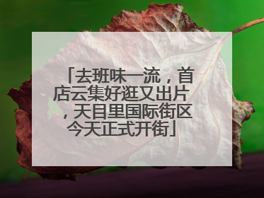 去班味一流，首店云集好逛又出片，天目里国际街区今天正式开街