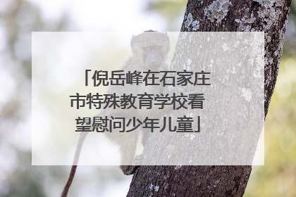 倪岳峰在石家庄市特殊教育学校看望慰问少年儿童