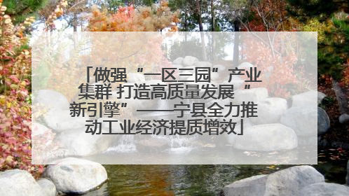 做强“一区三园”产业集群 打造高质量发展“新引擎”——宁县全力推动工业经济提质增效