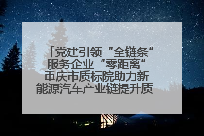 党建引领“全链条” 服务企业“零距离” 重庆市质标院助力新能源汽车产业链提升质量管理水平