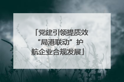 党建引领提质效 “局港联动”护航企业合规发展