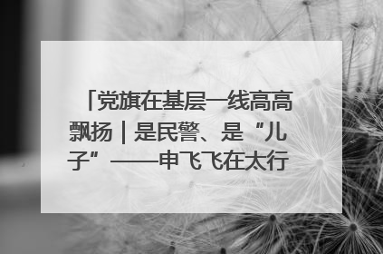党旗在基层一线高高飘扬｜是民警、是“儿子”——申飞飞在太行山中的一线坚守