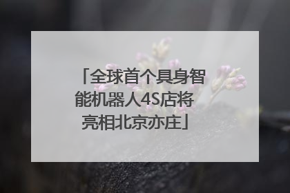 全球首个具身智能机器人4S店将亮相北京亦庄