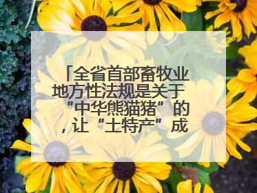 全省首部畜牧业地方性法规是关于“中华熊猫猪”的，让“土特产”成为“新国潮”，让“农产品”升格为“城市IP”