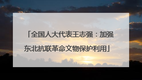 全国人大代表王志强：加强东北抗联革命文物保护利用