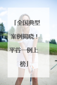 全国典型案例揭晓！平谷一例上榜