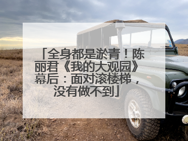 全身都是淤青！陈丽君《我的大观园》幕后：面对滚楼梯，没有做不到