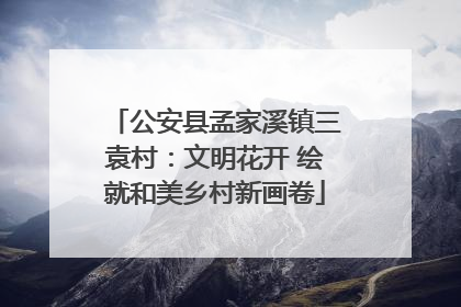 公安县孟家溪镇三袁村：文明花开 绘就和美乡村新画卷