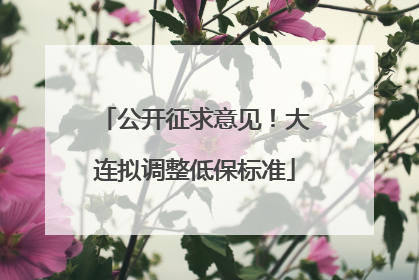 公开征求意见！大连拟调整低保标准