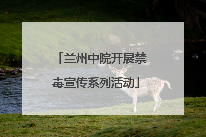 兰州中院开展禁毒宣传系列活动