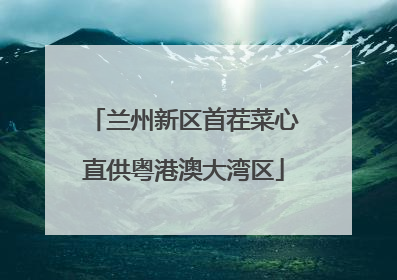 兰州新区首茬菜心直供粤港澳大湾区