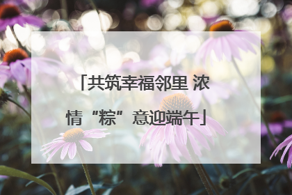 共筑幸福邻里 浓情“粽”意迎端午
