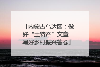 内蒙古乌达区：做好“土特产”文章 写好乡村振兴答卷