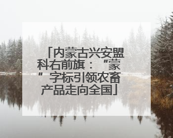 内蒙古兴安盟科右前旗：“蒙”字标引领农畜产品走向全国