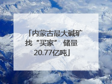 内蒙古最大碱矿找“买家” 储量20.77亿吨