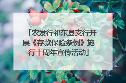 农发行祁东县支行开展《存款保险条例》施行十周年宣传活动
