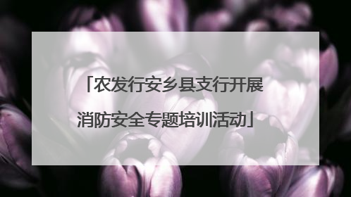农发行安乡县支行开展消防安全专题培训活动