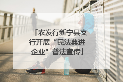 农发行新宁县支行开展“民法典进企业”普法宣传