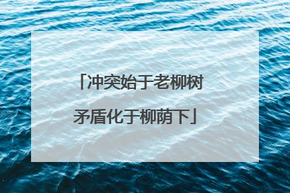 冲突始于老柳树 矛盾化于柳荫下