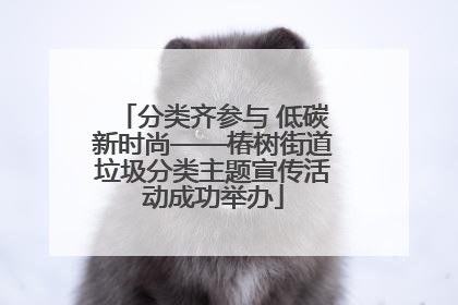分类齐参与 低碳新时尚——椿树街道垃圾分类主题宣传活动成功举办