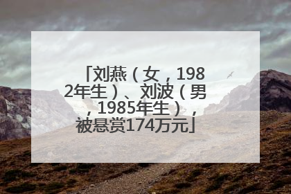 刘燕（女，1982年生）、刘波（男，1985年生），被悬赏174万元