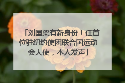 刘国梁有新身份！任首位驻纽约使团联合国运动会大使，本人发声