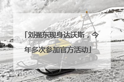 刘强东现身达沃斯，今年多次参加官方活动