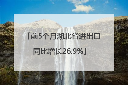 前5个月湖北省进出口同比增长26.9%