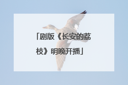 剧版《长安的荔枝》明晚开播