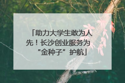 助力大学生敢为人先！长沙创业服务为“金种子”护航