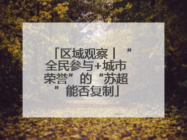 区域观察丨“全民参与+城市荣誉”的“苏超”能否复制