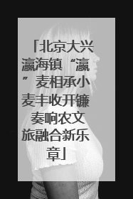 北京大兴瀛海镇“瀛”麦相承小麦丰收开镰 奏响农文旅融合新乐章
