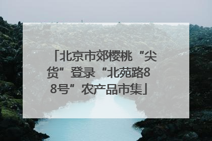 北京市郊樱桃“尖货”登录“北苑路88号”农产品市集