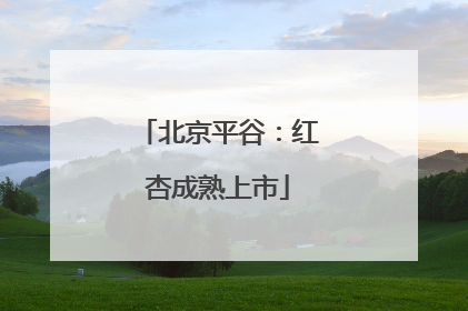 北京平谷：红杏成熟上市