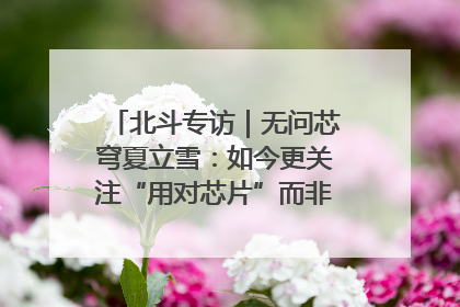北斗专访｜无问芯穹夏立雪：如今更关注“用对芯片”而非“用贵芯片”