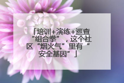 培训+演练+巡查“组合拳”，这个社区“烟火气”里有“安全基因”