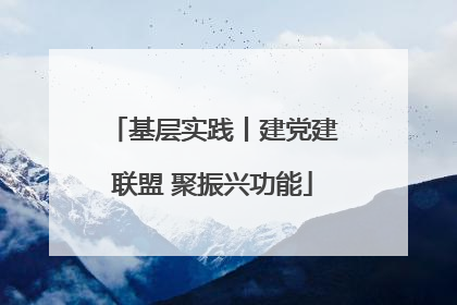 基层实践丨建党建联盟 聚振兴功能