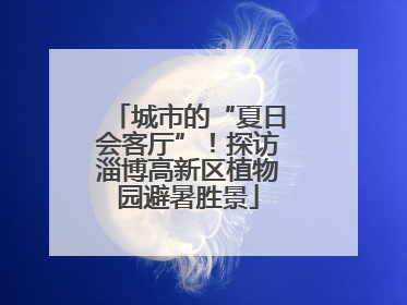 城市的“夏日会客厅”！探访淄博高新区植物园避暑胜景