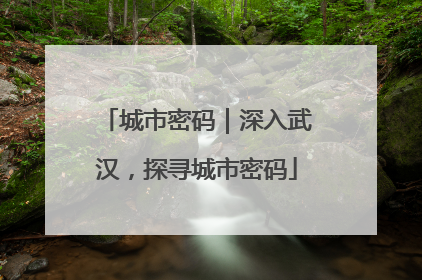 城市密码｜深入武汉，探寻城市密码