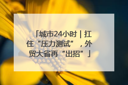 城市24小时｜扛住“压力测试”，外贸大省再“出招”