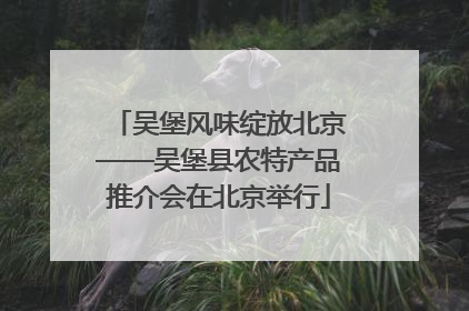 吴堡风味绽放北京——吴堡县农特产品推介会在北京举行