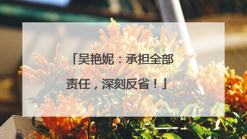 吴艳妮：承担全部责任，深刻反省！
